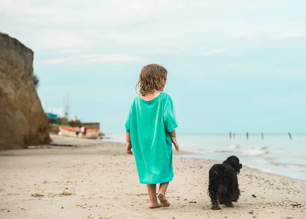 Child walking alone with dog at the beach. Back view. Kid in a big t-shirt with little black dog. Barefoot on sand