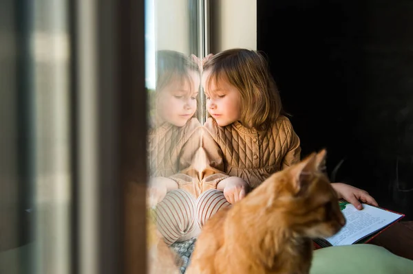 Little child girl watching out of a window with her ginger cat in hands. Kid sitting at home in autumn rainy day. Animal pet. Child read a book.