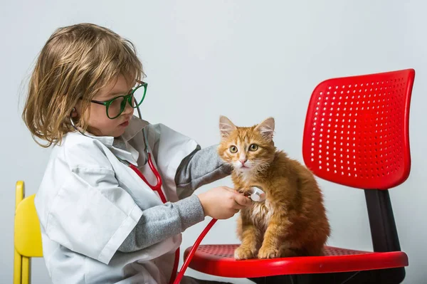 kid playing vet doctor with cat isolated on white. Little girl is try profession of doctor. Ginger cat pet is sitting on red chair. Animal at home.