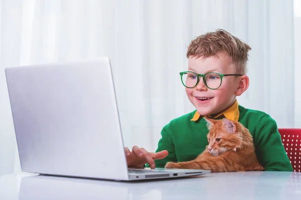 Little boy learning online on laptop Internet. Virtual class lesson on video during self isolation at home. Distant remote video education. Modern school study for kids. Education with pet cat.