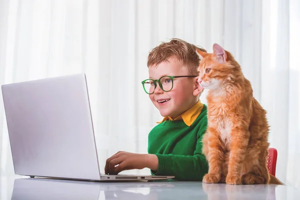 Küçük çocuk internetten internetten öğreniyor. Evde yalnızlık çekerken videoyla ilgili sanal sınıf dersi. Uzaktan kumandalı video eğitimi. Çocuklar için modern okul eğitimi. Kızıl kedili eğitim.