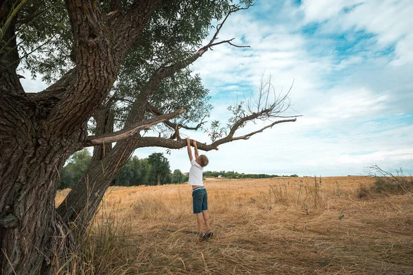 Niño Trepando Árbol Alto Hermosa Naturaleza Niño Jugando Aire Libre — Foto de Stock