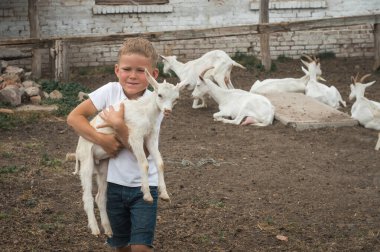 Elinde keçi olan bir çocuk. Beyaz keçi yavrusuyla sarışın küçük çocuk
