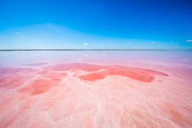 Kherson bölgesindeki tuzlu sahil, Ukrayna. Su, yüksek tuz seviyelerinde yetişen özel bir yosundan dolayı pembe görünüyor.