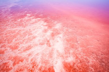 Batı Avustralya 'daki Pembe Tuz Gölü' nün panoramik manzarası. Bu göl yazın kırmızı pigmentli bir yosun yüzünden pembeye döner. Mavi gökyüzü, ufuk, boşluğu kopyala.