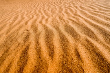 Oleshky Sands, Kherson Bölgesi, Ukrayna 'daki çöl kum tepelerinin güzel dokusu. Avrupa 'nın en büyük çölü.