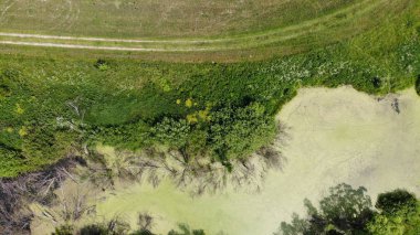 Drone'dan gölet görünümü