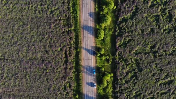 Vista Carretera Con Coches Parte Superior — Vídeos de Stock