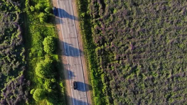 Vista Carretera Con Coches Parte Superior — Vídeos de Stock