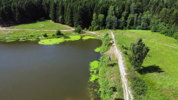 Vista Desde Quadrocopter Camino Hacia Bosque — Vídeos de Stock