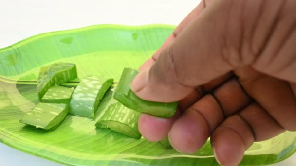 Aloe Vera Dilimleri Birçok Ayurvedic Ilaç Onun Suyu Kullanılarak Yapılır — Stok video