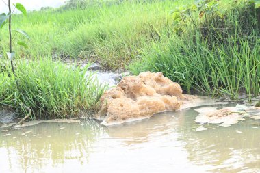Küçük bir su akıntısında yüzen bulanık köpük kütlesi. Yeşil çimenlerin arasında akan su akıntısı. Bu köpük hızlı su akışı tarafından yaratılır. Kirli su.