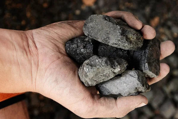 Man Hand Holding Coal Coal Mining — Stock Photo, Image