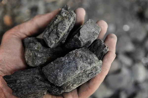 Mano Hombre Sosteniendo Carbón Minería Del Carbón — Foto de Stock