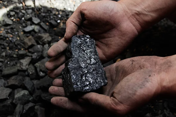 Coal miner in the man hands of coal background. Coal mining or energy source, environment protection. Industrial coals. Volcanic rock.