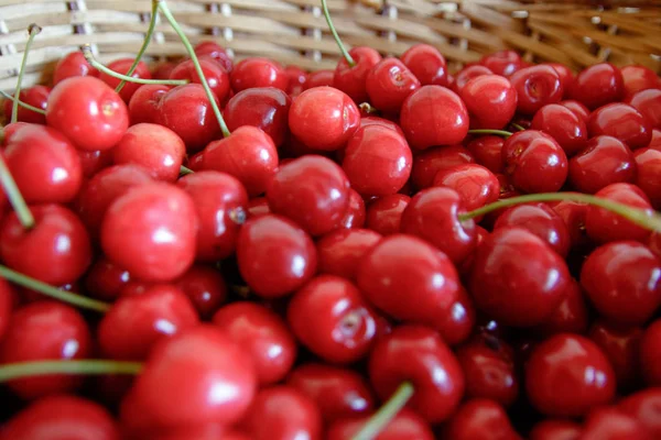 Sladké Chutné Červené Cherry Pozadí — Stock fotografie