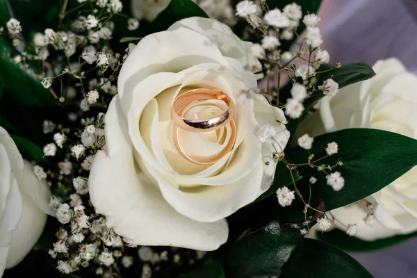 Dos Hermosos Anillos Oro Rosa Blanca —  Fotos de Stock