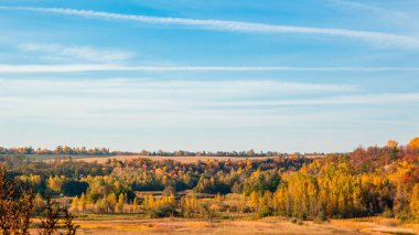 Güzel sonbahar ormanı ve mavi gökyüzü arka plan sahne