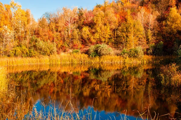 Fantástico Lago Bela Floresta Outono Laranja Fotos De Bancos De Imagens