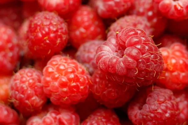 Heap of sweet red raspberries close up for bckground Royalty Free Stock Photos