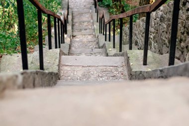 çimento merdiven yeşil bir ormanda yamaç kadar gider