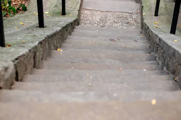 Cement trap stijgt de helling in een groen bos — Stockfoto