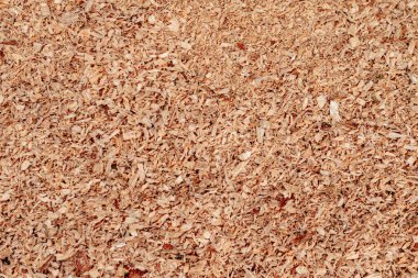 Talaş ya da ahşap tozu dokusu. Ahşap talaş arka planı