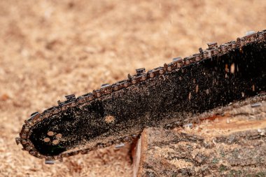 Elektrikli testere çubuğu ve zincir kesmenin yakın görüntüsü. Kirli bıçak...