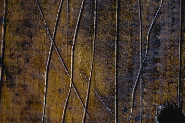 Donker Hout Textuur Achtergrond Oppervlak Met Oude Natuurlijke Patroon — Stockfoto