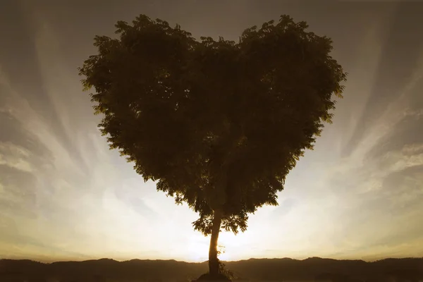 silhouette of tree in heart shape, taking the horizon as background. Image concept about love or origin of life, tree of life.