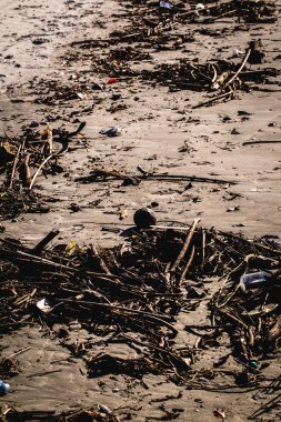 brezilya sahilinde, plajın kenarında çöp.