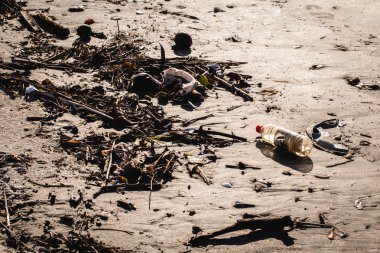 brezilya sahilinde, plajın kenarında çöp.