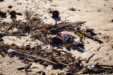 brezilya sahilinde, plajın kenarında çöp.