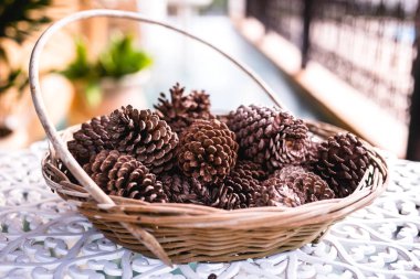 çam fıstığı, kurutulmuş ve dekorasyon olarak kullanılan.