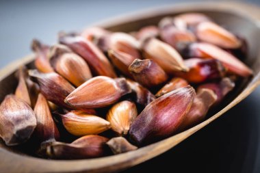 Kahverengi ahşap rustik kase Brezilya çamı. Kışın Brezilya mutfağında çeşni olarak kullanılan tipik araucaria ağacı tohumu.