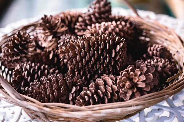 pine nuts, dried and used as decoration.