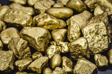 Golden nuggets isolated on black background. Luxury concept and gold. clipart