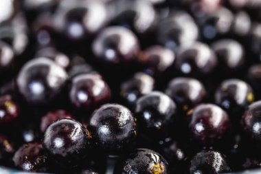 Jabuticaba ya da jaboticaba, Mirtaceae familyasından bir Brezilya meyve ağacı olan jaboticabeira veya jabuticabeira 'nın ürünüdür..