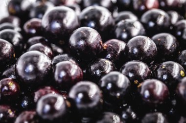 Jabuticaba veya jaboticaba olarak adlandırılan birkaç Brezilya meyvesi. Organik meyve ve yakınlaştırıcı olmadan. Ekim ayının meyveleri.