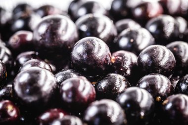 Jabuticaba ya da jaboticaba, Mirtaceae familyasından bir Brezilya meyve ağacı olan jaboticabeira veya jabuticabeira 'nın ürünüdür..