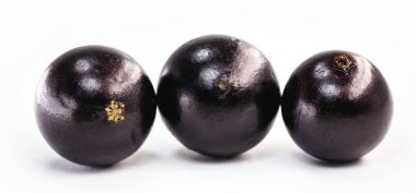 Jabuticaba ya da jabuticaba, Brezilya 'nın tipik siyah-beyaz meyvelerinden biridir. Güney Amerika 'da nadir bulunan organik ve sağlıklı meyveler, Brezilya üzümü olarak da bilinir..