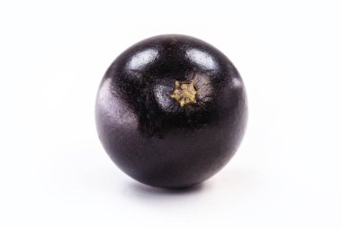 Jabuticaba ya da jabuticaba, Brezilya 'nın tipik siyah-beyaz meyvelerinden biridir. Güney Amerika 'da nadir bulunan organik ve sağlıklı meyveler, Brezilya üzümü olarak da bilinir..