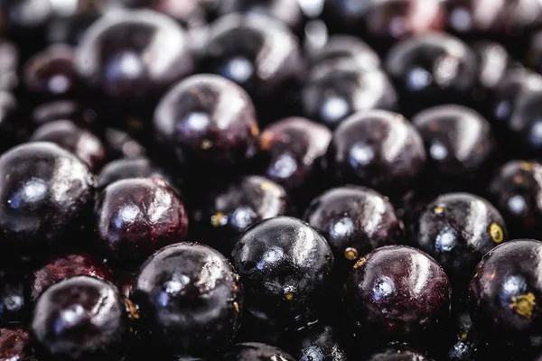 Jabuticaba ya da jaboticaba, Mirtaceae familyasından bir Brezilya meyve ağacı olan jaboticabeira veya jabuticabeira 'nın ürünüdür..