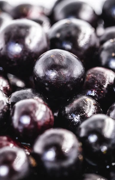Jabuticaba veya jaboticaba olarak adlandırılan birkaç Brezilya meyvesi. Organik meyve ve yakınlaştırıcı olmadan. Ekim ayının meyveleri.