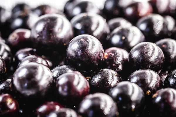 Jabuticaba ya da jaboticaba, Mirtaceae familyasından bir Brezilya meyve ağacı olan jaboticabeira veya jabuticabeira 'nın ürünüdür..