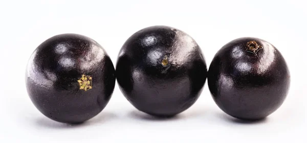 The jabuticaba or jabuticaba is a purplish black-white fruit, typical fruit of Brazil, on isolated white background. Rare organic and healthy fruits in South America, also known as Brazilian grapes. — Stock Photo, Image