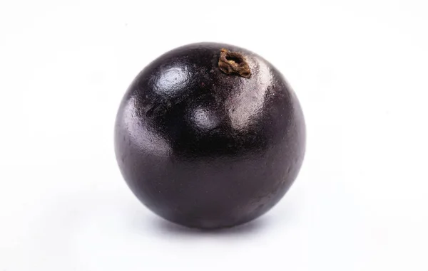 La jabuticaba o jabuticaba es un fruto blanco-negro púrpura, fruto típico de Brasil, sobre fondo blanco aislado. Frutas raras orgánicas y saludables en América del Sur, también conocidas como uvas brasileñas . — Foto de Stock