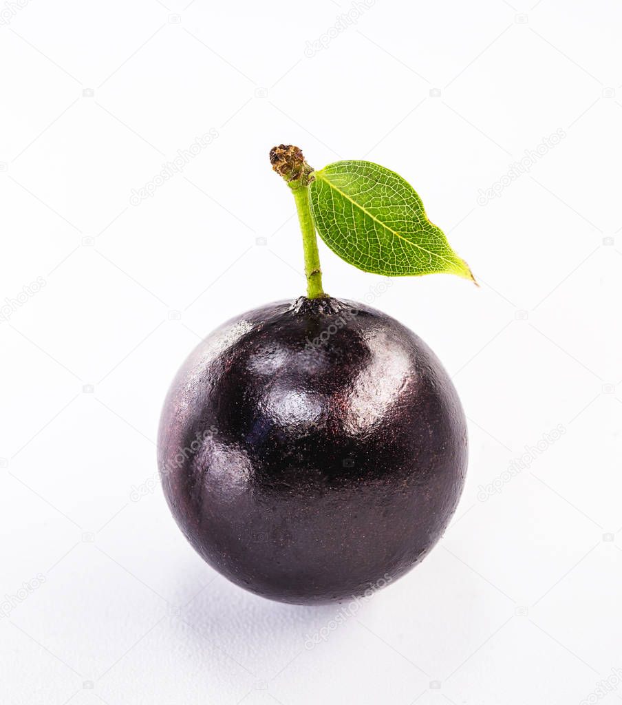 Jaboticaba or jabuticaba is a purplish black-white fruit that can be eaten raw or used to make jams, juices, liqueur or wine. Typical Brazil fruit on white isolated background.