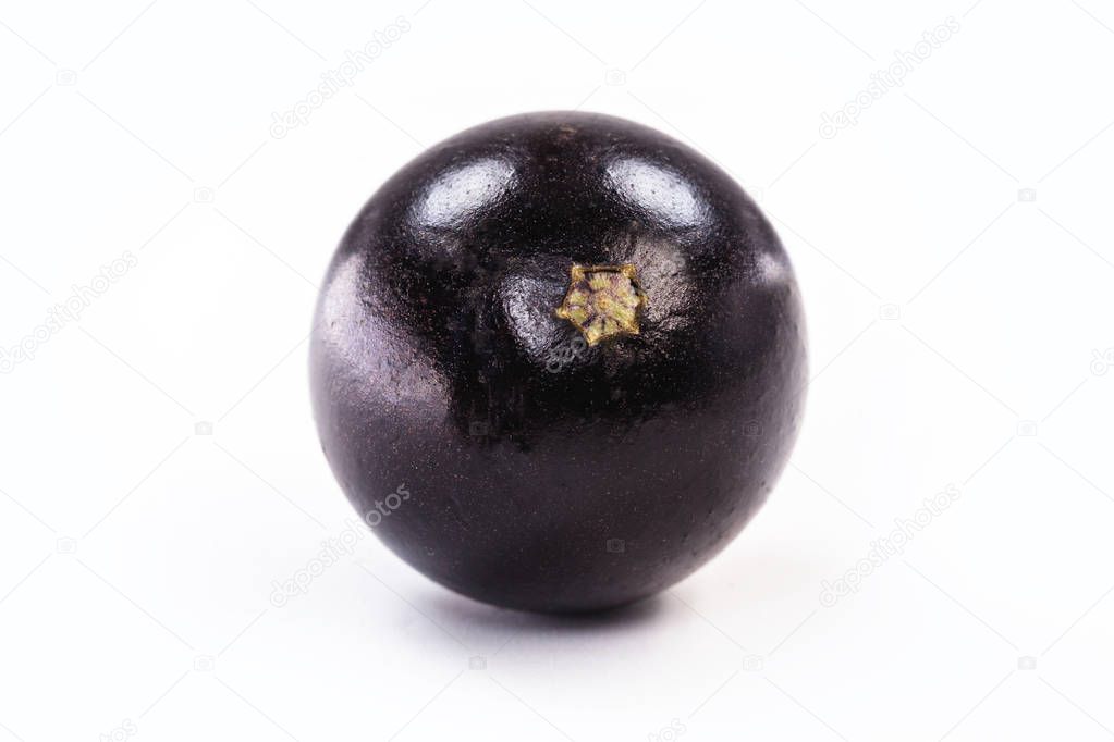 The jabuticaba or jabuticaba is a purplish black-white fruit, typical fruit of Brazil, on isolated white background. Rare organic and healthy fruits in South America, also known as Brazilian grapes.