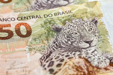 50 reais banknotun ayrıntıları, Brezilya jaguarı 50 reais 'lik bir Brezilya banknotunun üzerine damgalanmış..